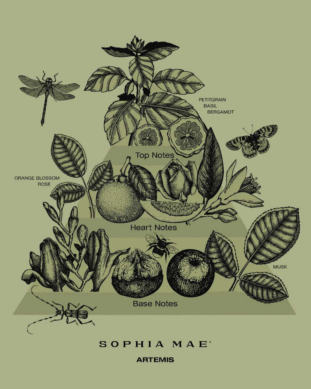 Sophia Mae Artemis scented candle midi
