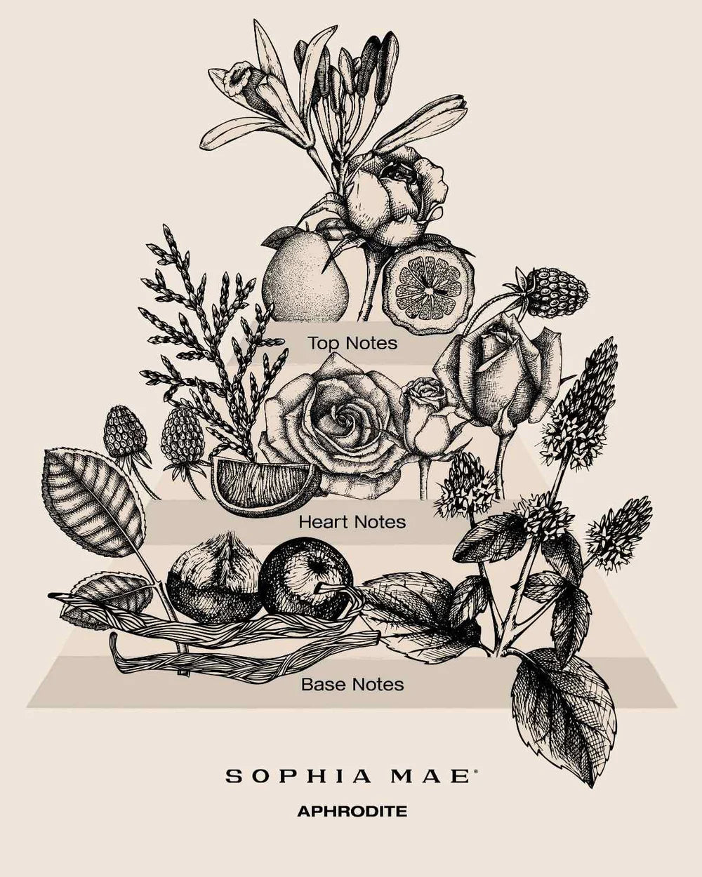 Sophia Mae Aphrodite scented candle maxi