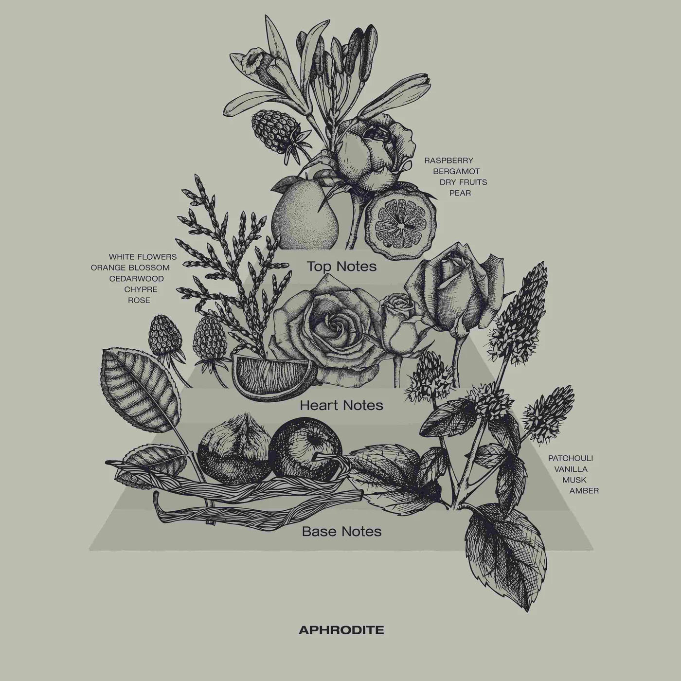 SOPHIA MAE Aphrodite interior perfume