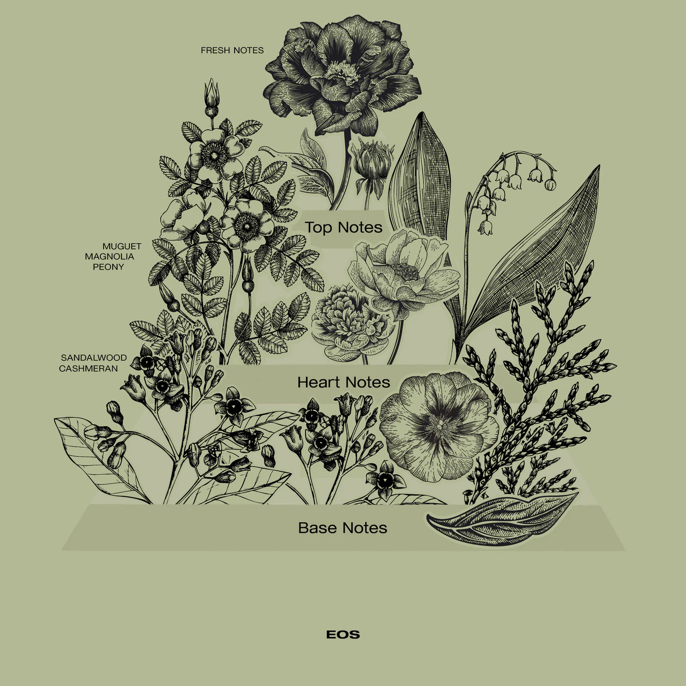 Sophia Mae Eos wasparfum