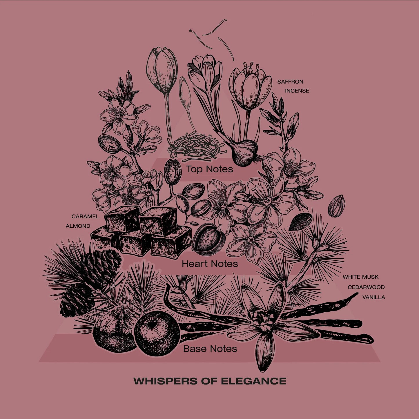 SOPHIA MAE Whispers of Elegance eau de parfum