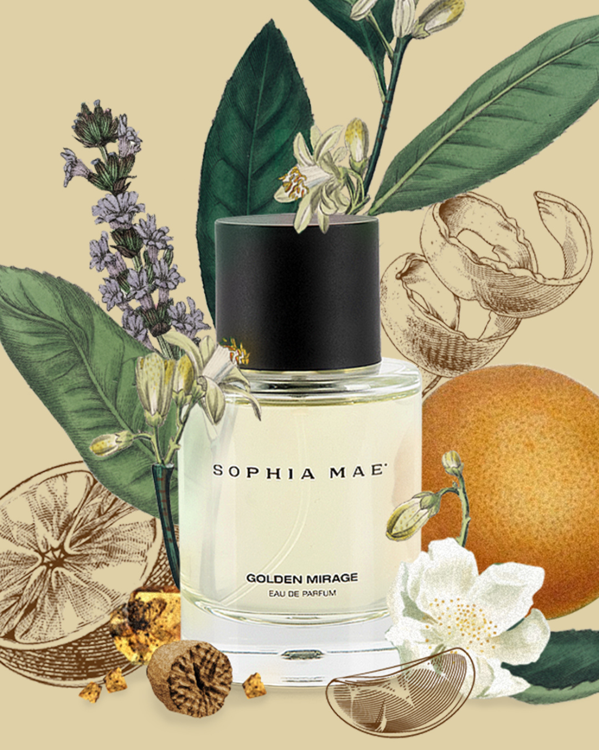 Sophia Mae Golden Mirage eau de parfum