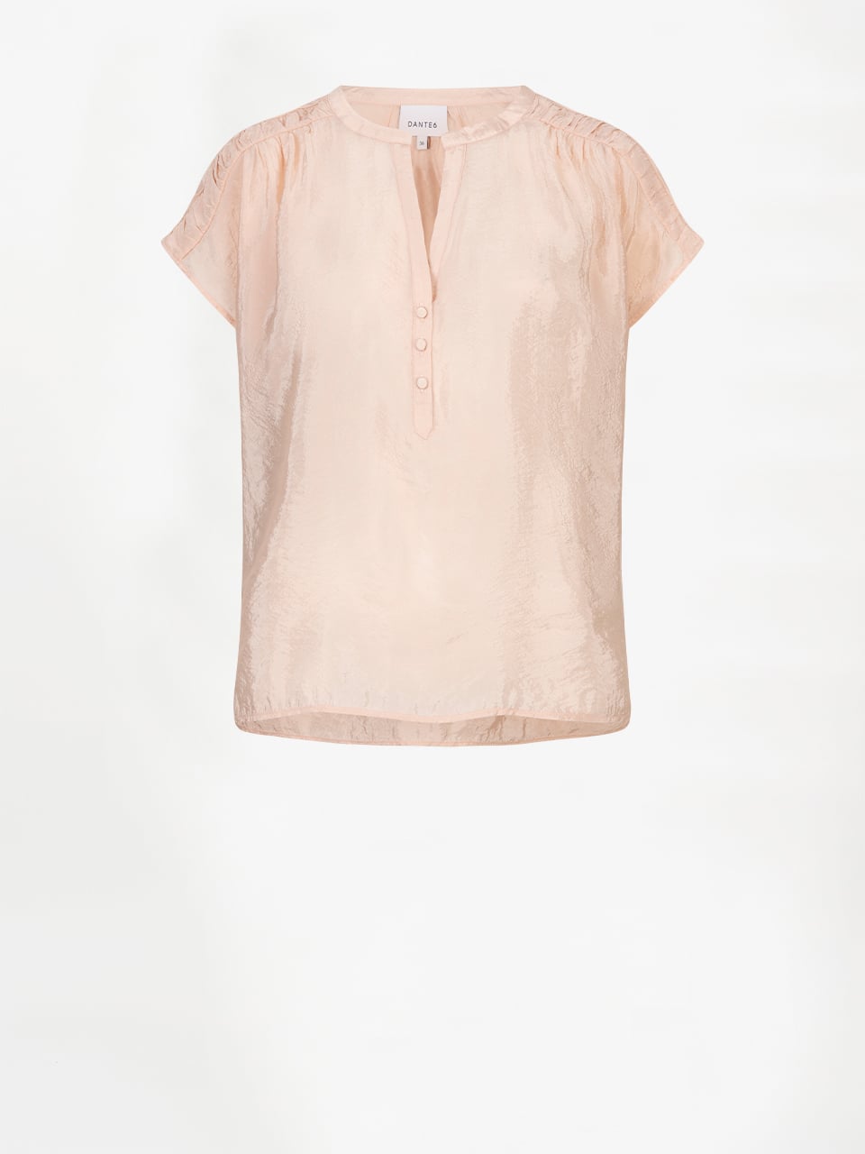 Dante6 Rover top