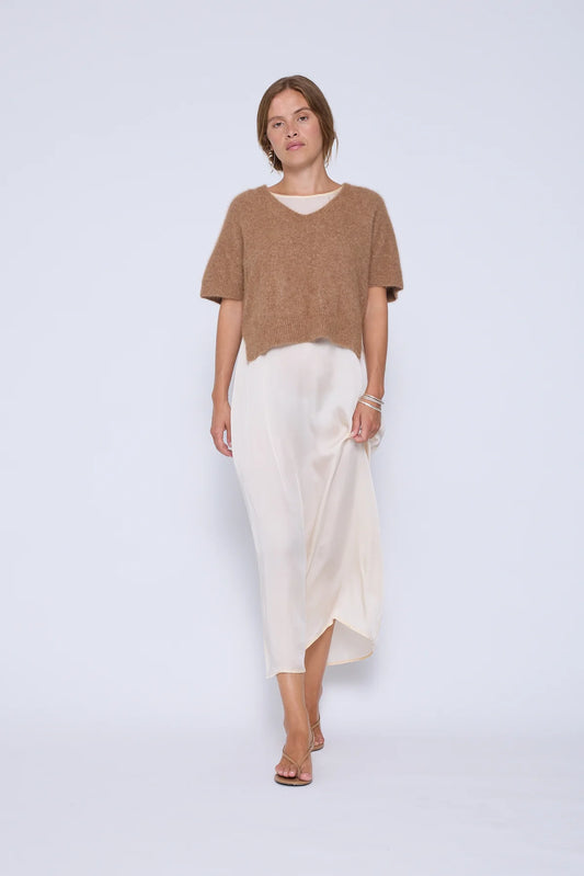 Six Ames Dana top