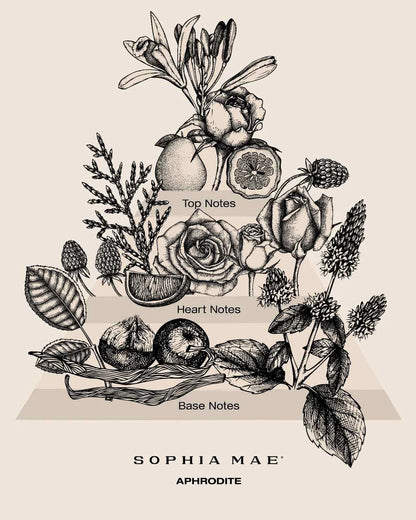 Sophia Mae Aphrodite scented candle midi