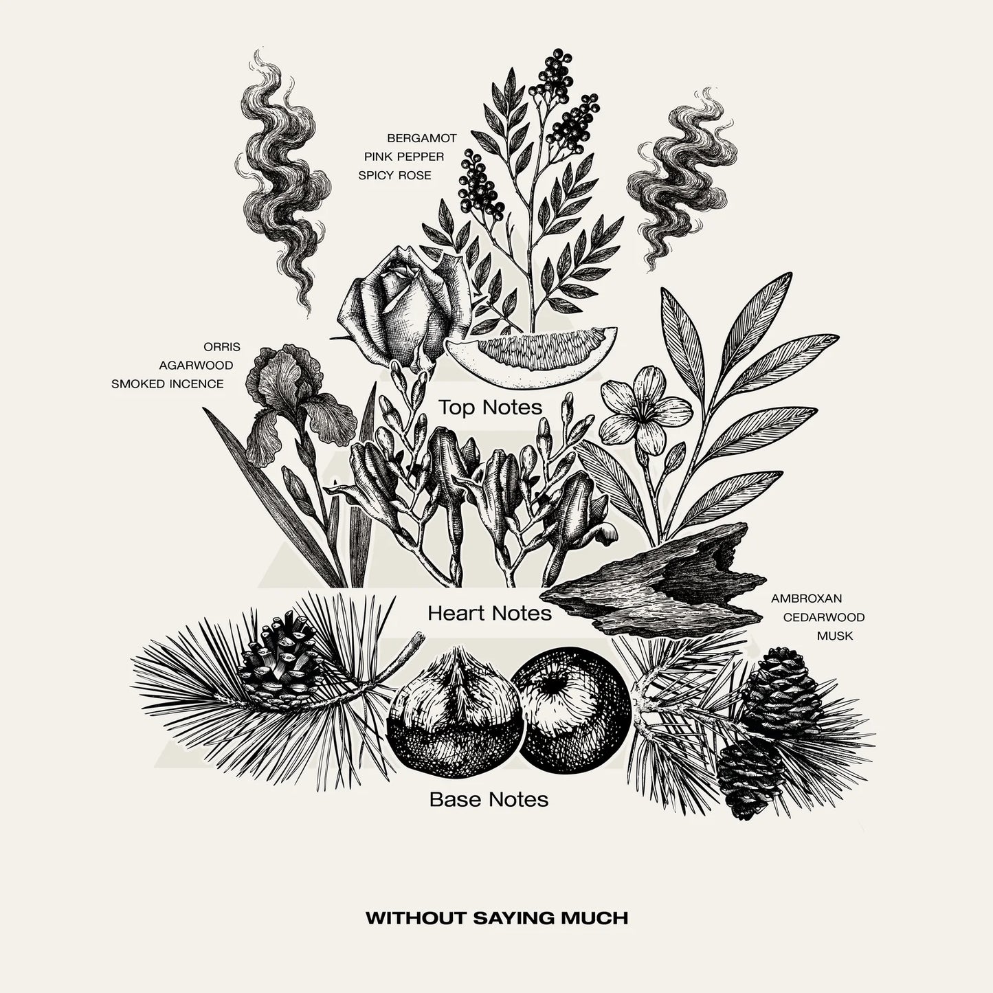 SOPHIA MAE Without saying much eau de parfum