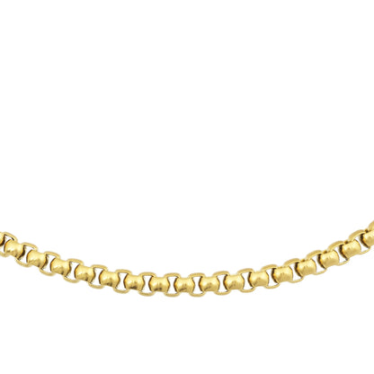 Bandhu Clasp ketting