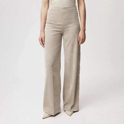 Drykorn broek Before