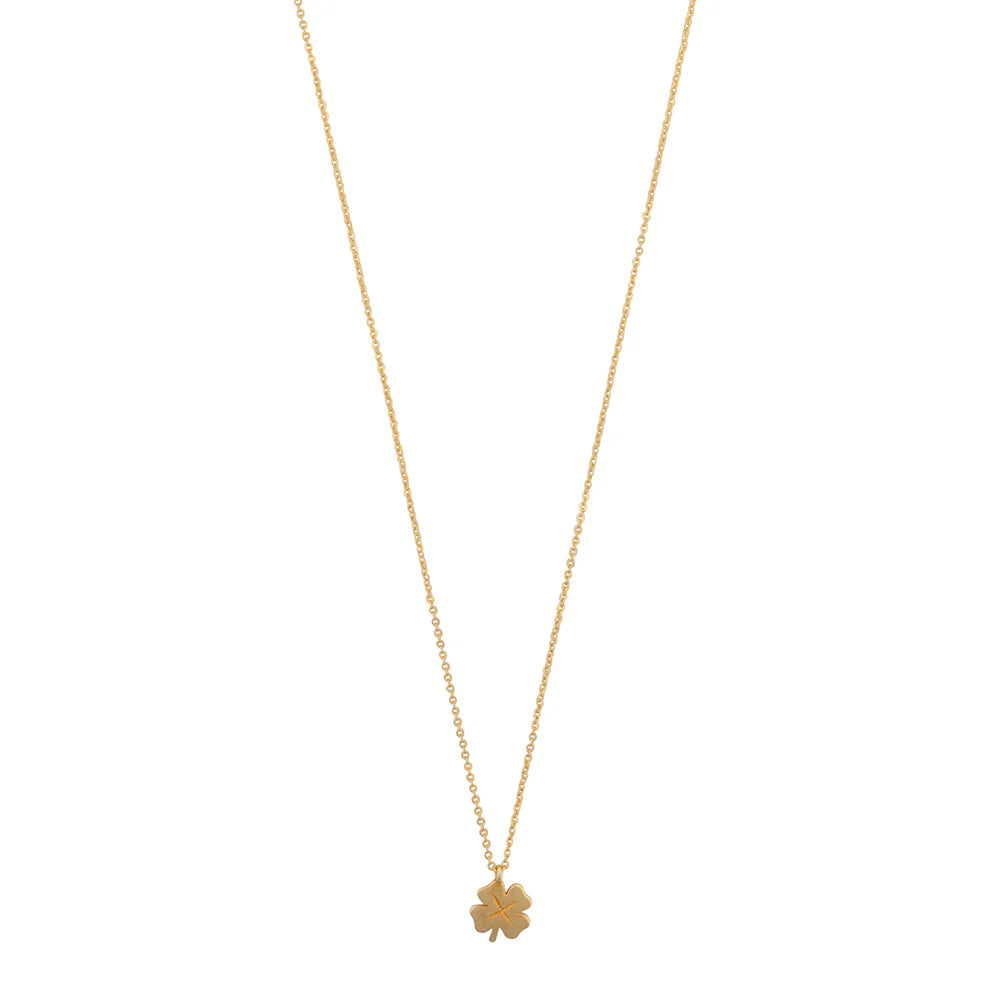 Bobby Rose Lucky ketting