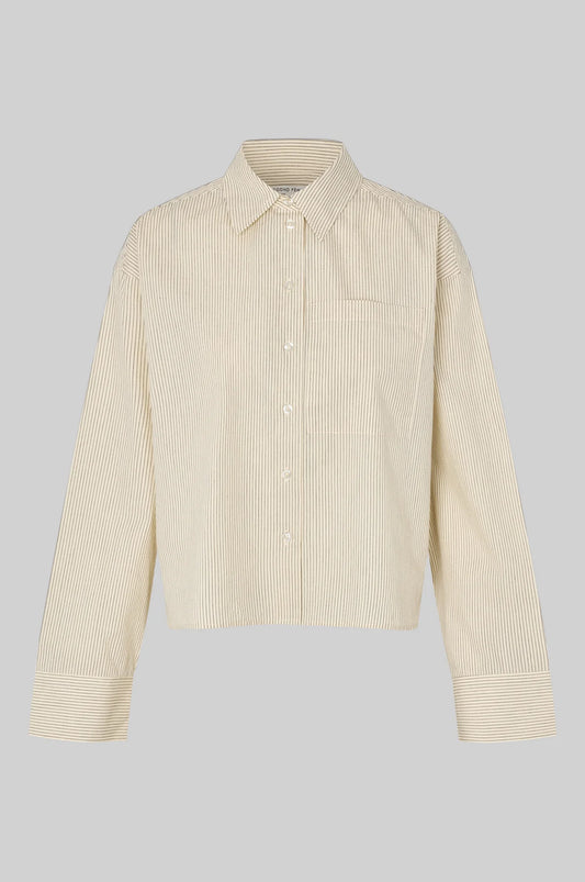 Second Female Dicthe shirt
