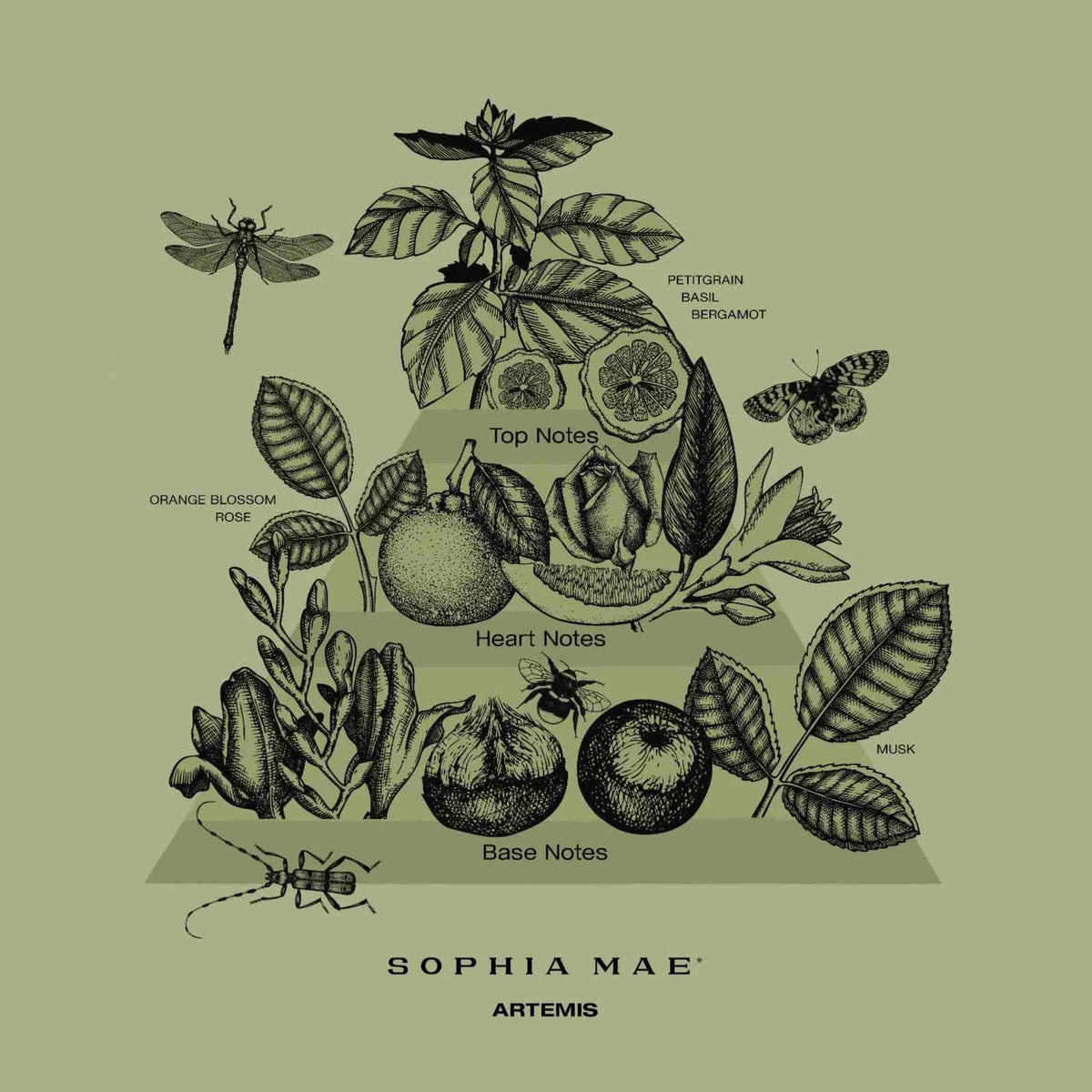 SOPHIA MAE Artemis fragrance sticks