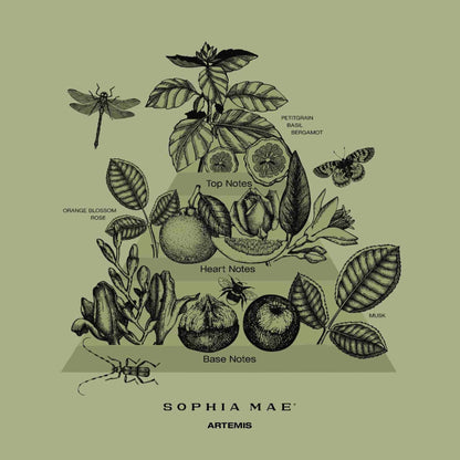 SOPHIA MAE Artemis fragrance sticks