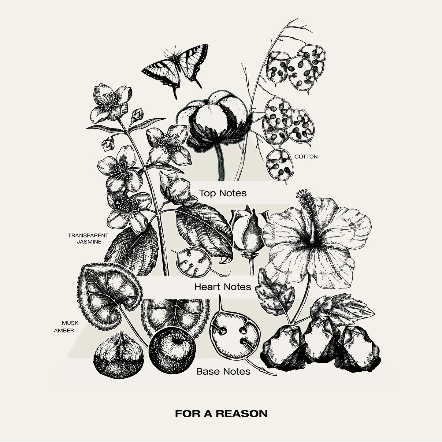 SOPHIA MAE For a reason (voorheen Aura) eau de parfum